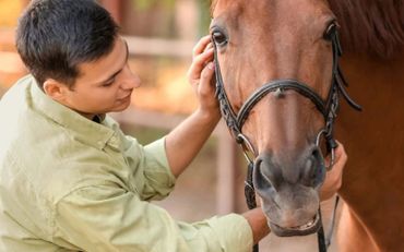 Eagle Creek Ranch Recovery
