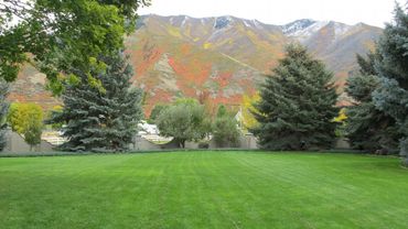 Maple Mountain Recovery