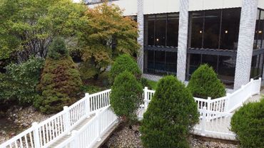 Lincoln Recovery | Illinois Addiction Treatment Center