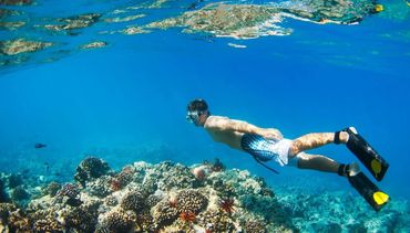 Maui Recovery